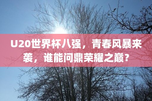 U20世界杯八强，青春风暴来袭，谁能问鼎荣耀之巅？