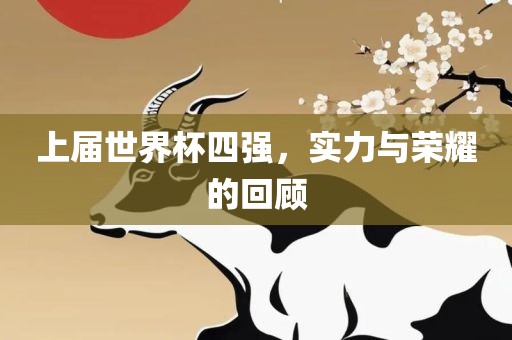 上届世界杯四强，实力与荣耀的回顾