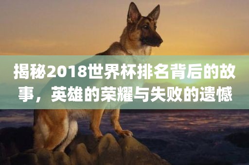 揭秘2018世界杯排名背后的故事，英雄的荣耀与失败的遗憾