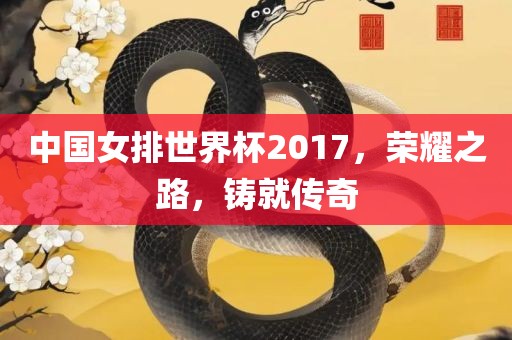 中国女排世界杯2017，荣耀之路，铸就传奇