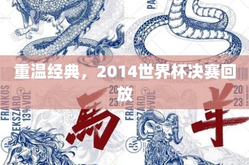 重温经典，2014世界杯决赛回放