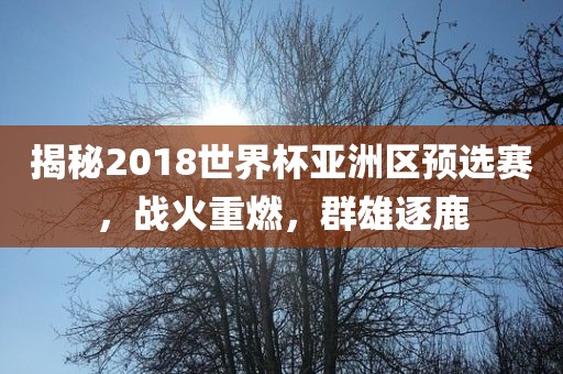 揭秘2018世界杯亚洲区预选赛，战火重燃，群雄逐鹿