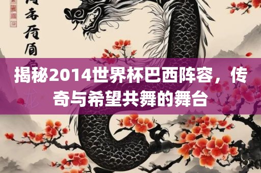 揭秘2014世界杯巴西阵容，传奇与希望共舞的舞台