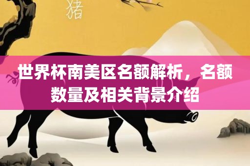 世界杯南美区名额解析，名额数量及相关背景介绍