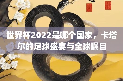 世界杯2022是哪个国家，卡塔尔的足球盛宴与全球瞩目