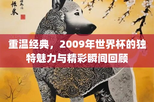 重温经典，2009年世界杯的独特魅力与精彩瞬间回顾