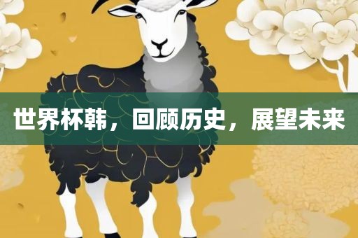 世界杯韩，回顾历史，展望未来