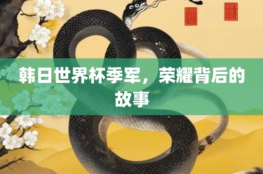 韩日世界杯季军，荣耀背后的故事