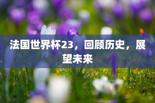 法国世界杯23，回顾历史，展望未来