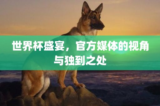 世界杯盛宴，官方媒体的视角与独到之处