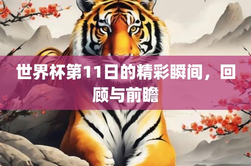 世界杯第11日的精彩瞬间，回顾与前瞻