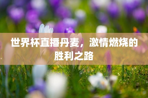 世界杯直播丹麦，激情燃烧的胜利之路