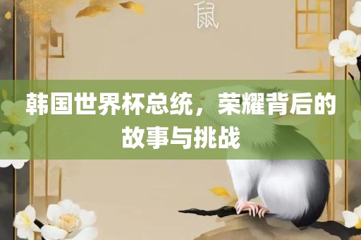 韩国世界杯总统，荣耀背后的故事与挑战