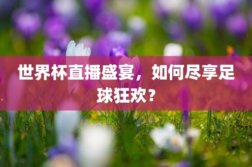 世界杯直播盛宴，如何尽享足球狂欢？