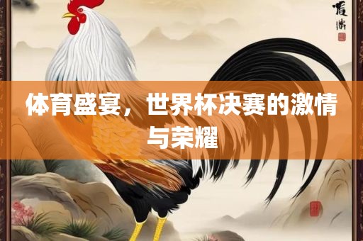 体育盛宴，世界杯决赛的激情与荣耀