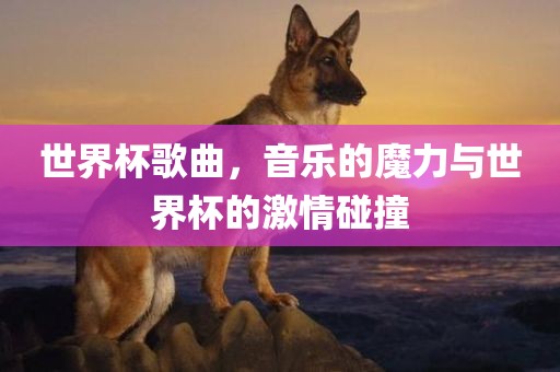 世界杯歌曲，音乐的魔力与世界杯的激情碰撞