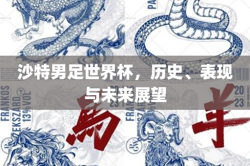 沙特男足世界杯，历史、表现与未来展望