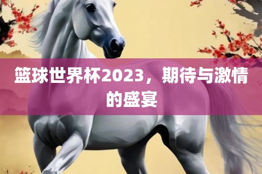 篮球世界杯2023，期待与激情的盛宴
