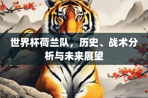 世界杯荷兰队，历史、战术分析与未来展望
