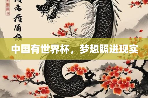 中国有世界杯，梦想照进现实