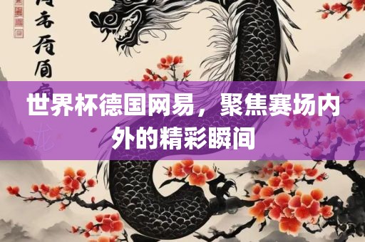 世界杯德国网易，聚焦赛场内外的精彩瞬间