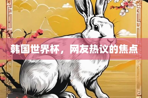 韩国世界杯，网友热议的焦点