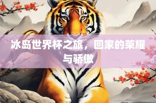 冰岛世界杯之旅，回家的荣耀与骄傲