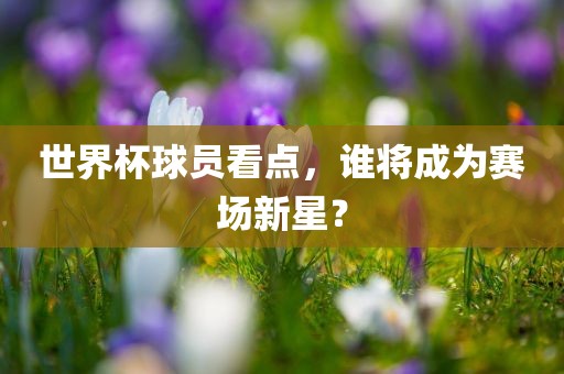 世界杯球员看点，谁将成为赛场新星？