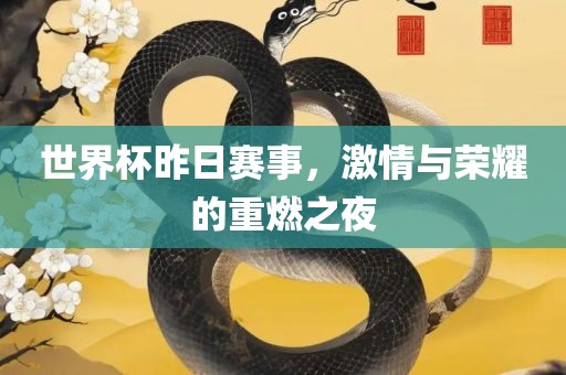 世界杯昨日赛事，激情与荣耀的重燃之夜