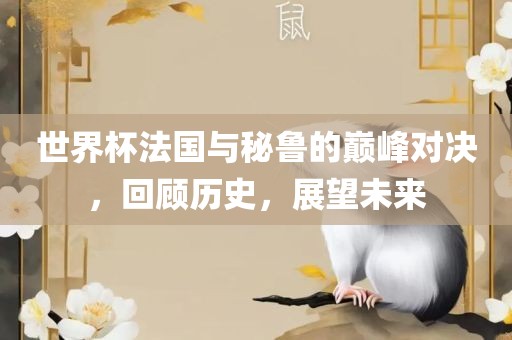 世界杯法国与秘鲁的巅峰对决，回顾历史，展望未来