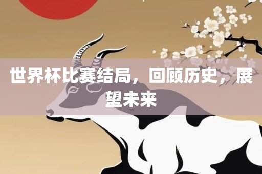 世界杯比赛结局，回顾历史，展望未来