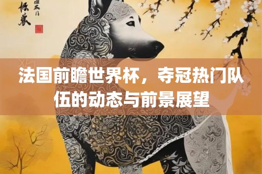 法国前瞻世界杯，夺冠热门队伍的动态与前景展望