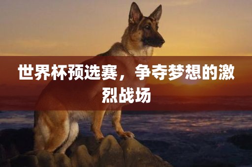 世界杯预选赛，争夺梦想的激烈战场
