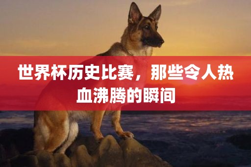 世界杯历史比赛，那些令人热血沸腾的瞬间