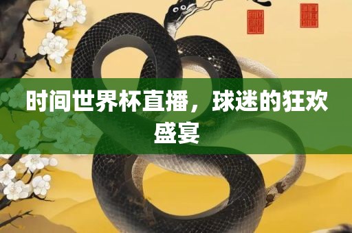 时间世界杯直播，球迷的狂欢盛宴
