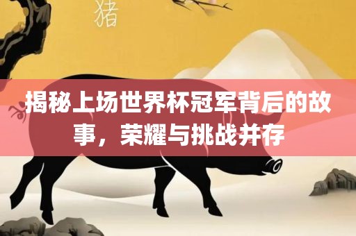 揭秘上场世界杯冠军背后的故事，荣耀与挑战并存
